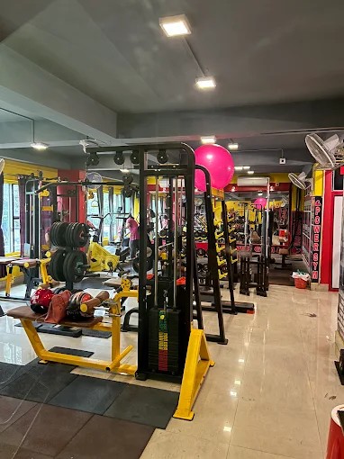 Power Gym Interior Machine and Plate Section